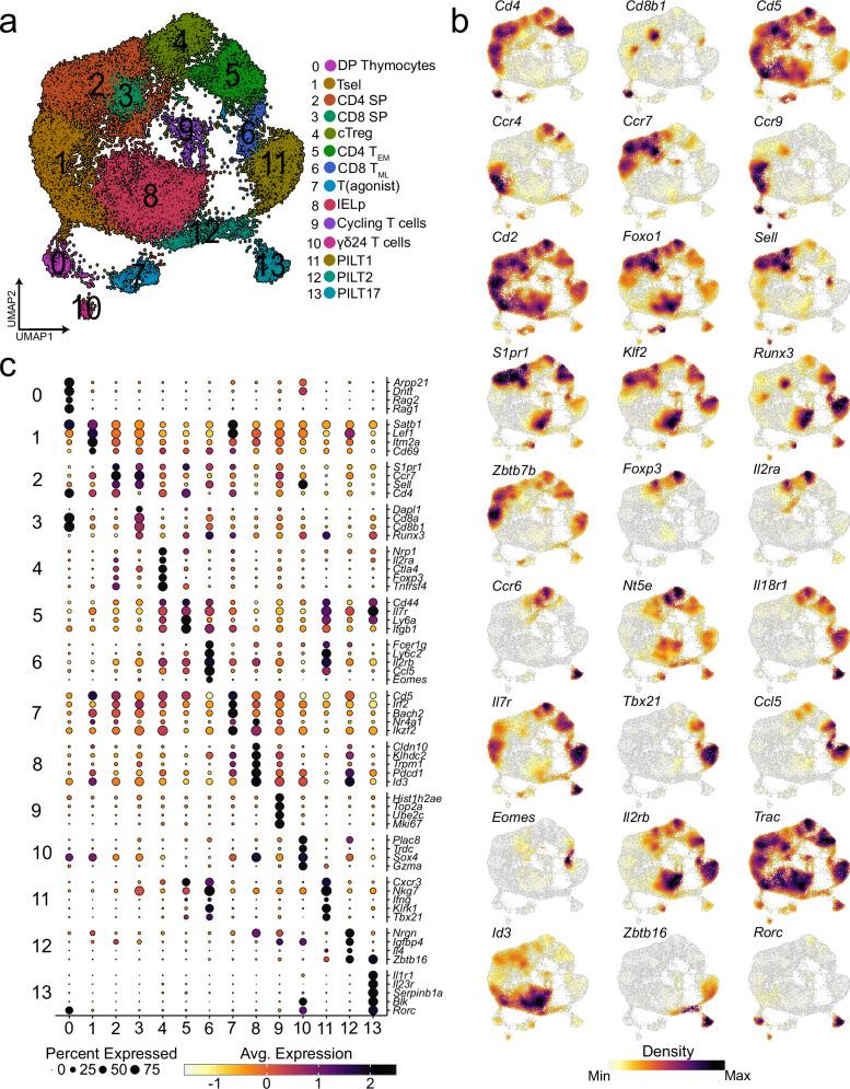 https://cdn.ncbi.nlm.nih.gov/pmc/blobs/8d2c/12144119/7f8e0e2b7a39/41467_2025_60617_Fig1_HTML.jpg