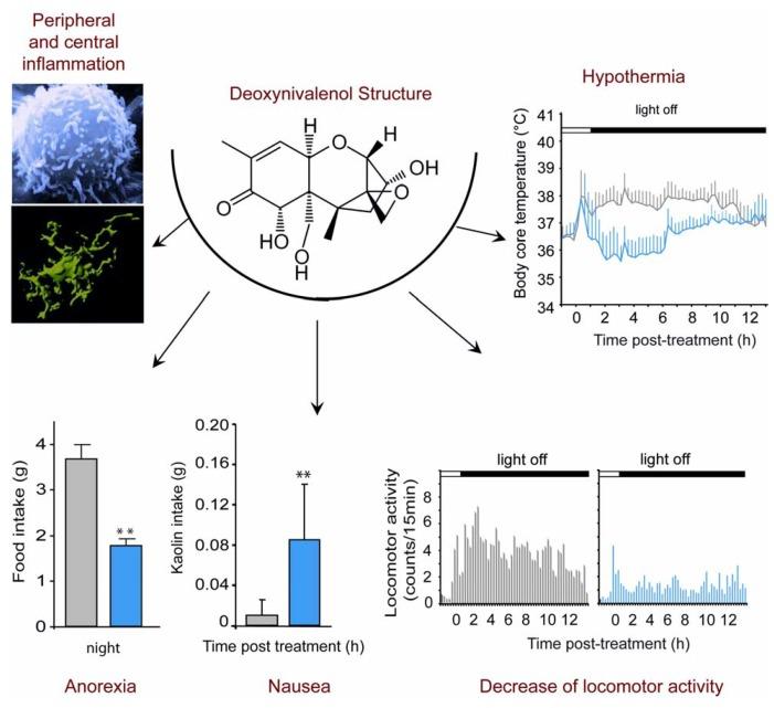 https://cdn.ncbi.nlm.nih.gov/pmc/blobs/8d2e/3509700/bad1dfee93db/toxins-04-01120-g001.jpg