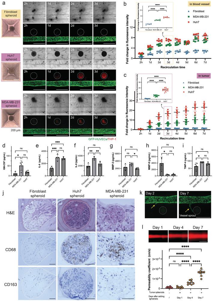 https://cdn.ncbi.nlm.nih.gov/pmc/blobs/8d2f/11973944/81c647e36ef3/ADHM-14-0-g002.jpg