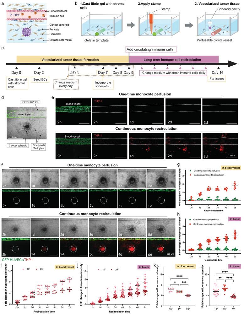 https://cdn.ncbi.nlm.nih.gov/pmc/blobs/8d2f/11973944/def2b5f720d6/ADHM-14-0-g003.jpg