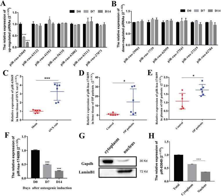 https://cdn.ncbi.nlm.nih.gov/pmc/blobs/8d31/8579447/993a2d50908d/ijbsv17p4409g002.jpg