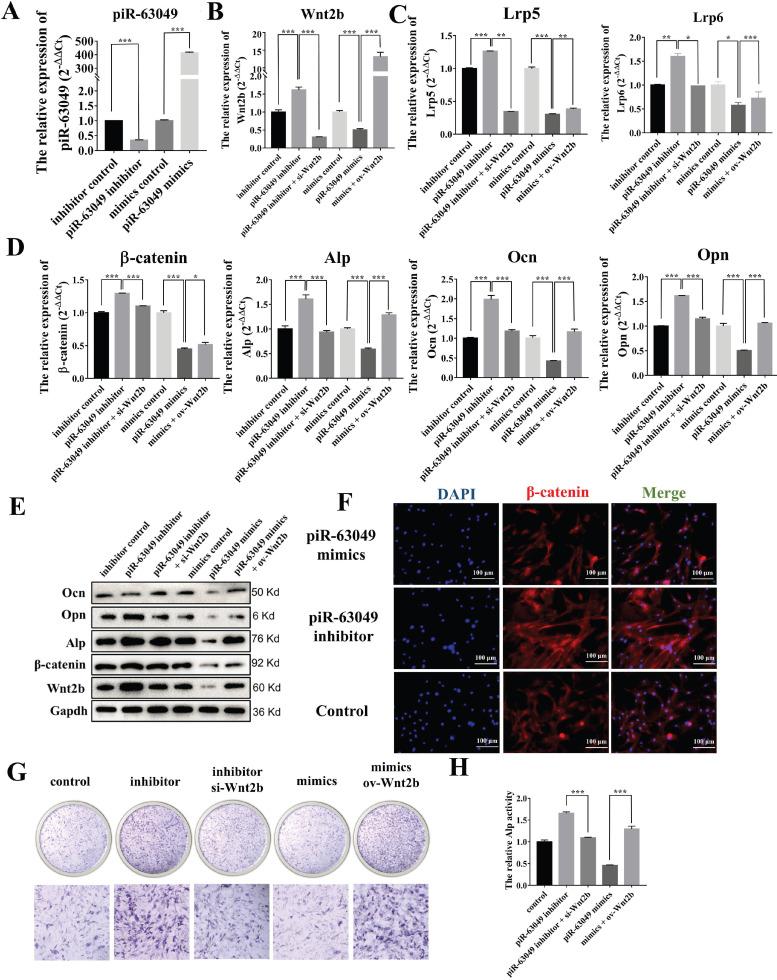 https://cdn.ncbi.nlm.nih.gov/pmc/blobs/8d31/8579447/bdffc1a6ae6a/ijbsv17p4409g005.jpg