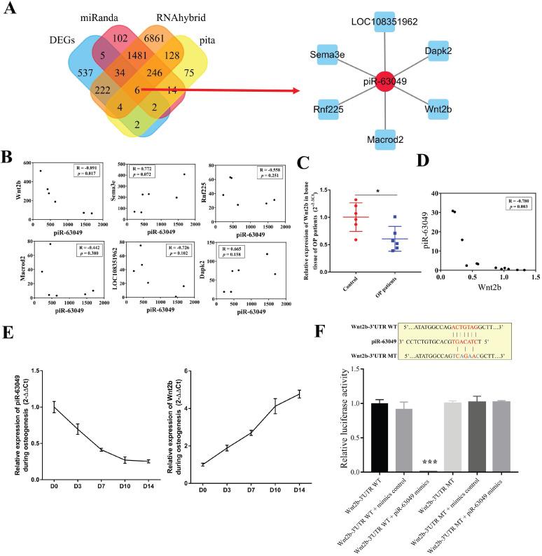 https://cdn.ncbi.nlm.nih.gov/pmc/blobs/8d31/8579447/e5b2e9a9cad4/ijbsv17p4409g003.jpg
