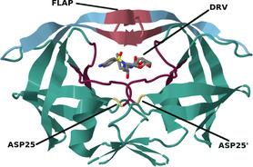 https://cdn.ncbi.nlm.nih.gov/pmc/blobs/8d32/12321272/a1fa9c0c31b0/CMDC-20-e202500277-g003.jpg