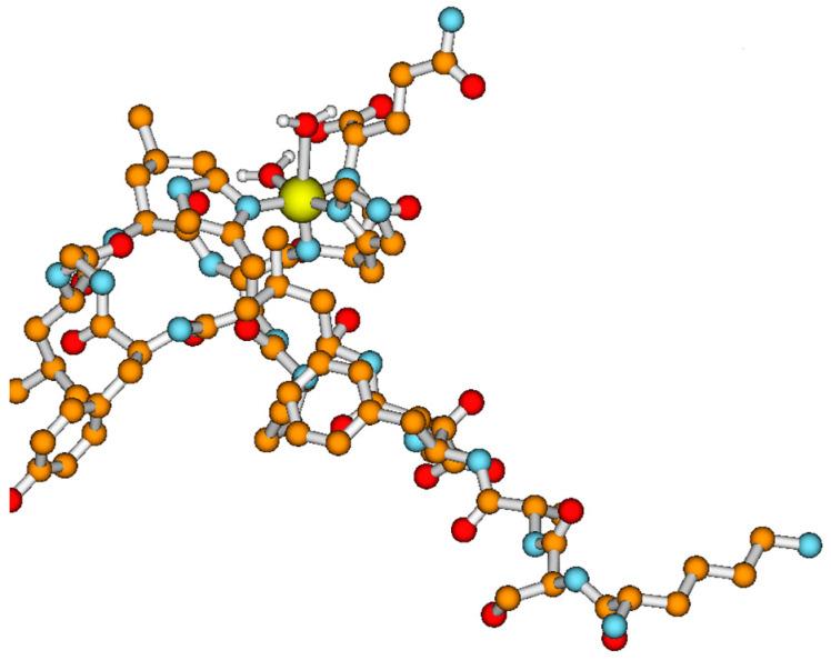 https://cdn.ncbi.nlm.nih.gov/pmc/blobs/8d32/8745124/6a31a4360014/ijms-23-00418-g002.jpg