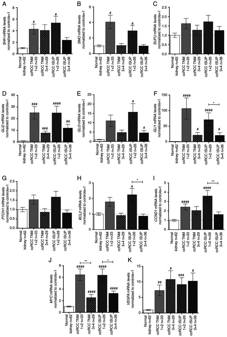 https://cdn.ncbi.nlm.nih.gov/pmc/blobs/8d33/8920499/66fa75bd1571/IJMM-49-05-05114-g02.jpg
