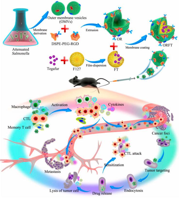 https://cdn.ncbi.nlm.nih.gov/pmc/blobs/8d33/9576611/78b4eb7eeddf/thnov12p7080g006.jpg