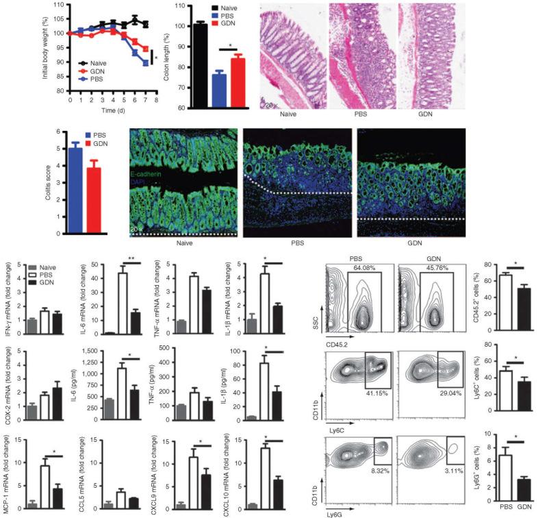 https://cdn.ncbi.nlm.nih.gov/pmc/blobs/8d33/9576611/a70dfc5681a7/thnov12p7080g005.jpg