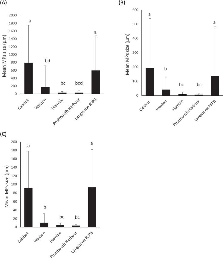 https://cdn.ncbi.nlm.nih.gov/pmc/blobs/8d34/11993462/a09ac44aa3fc/10661_2025_13975_Fig3_HTML.jpg