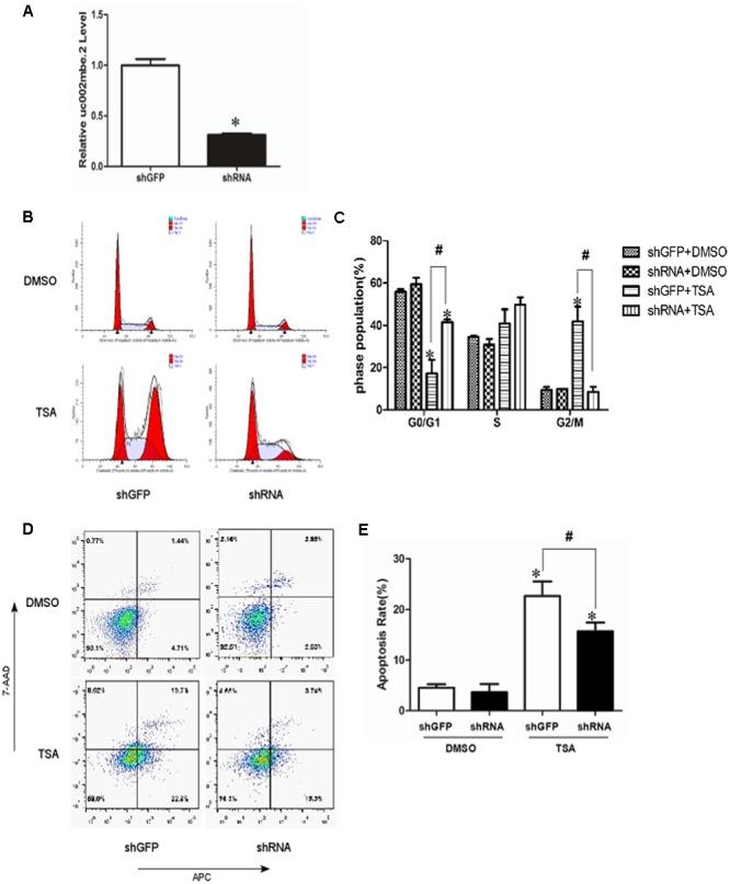 https://cdn.ncbi.nlm.nih.gov/pmc/blobs/8d37/5622184/3e23b2d1a879/fphar-08-00669-g001.jpg