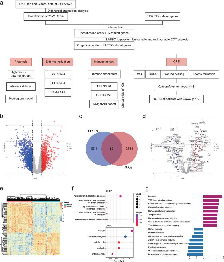 https://cdn.ncbi.nlm.nih.gov/pmc/blobs/8d38/11834232/82be1efd8a46/12967_2025_6178_Fig1_HTML.jpg