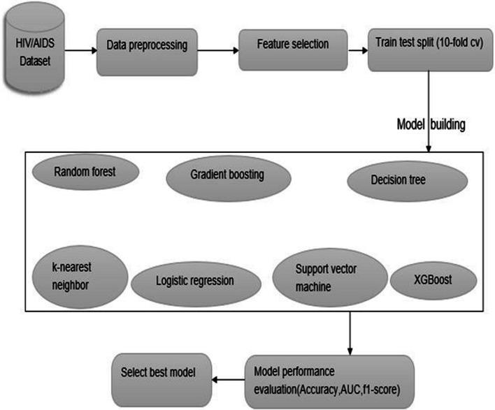 https://cdn.ncbi.nlm.nih.gov/pmc/blobs/8d39/10122289/c0dcf3368d04/12911_2023_2167_Fig1_HTML.jpg