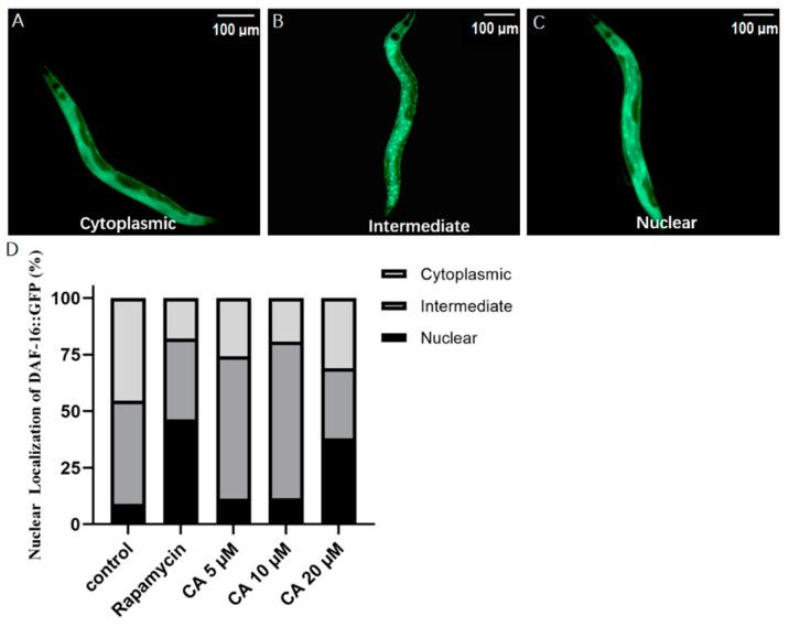 https://cdn.ncbi.nlm.nih.gov/pmc/blobs/8d3b/8586958/82a20b57c591/molecules-26-06609-g007.jpg