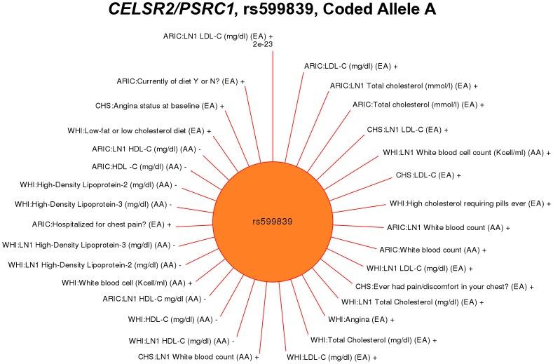 https://cdn.ncbi.nlm.nih.gov/pmc/blobs/8d3c/3561060/98dfb6f9750b/pgen.1003087.g003.jpg