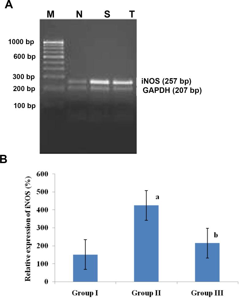 https://cdn.ncbi.nlm.nih.gov/pmc/blobs/8d3c/3867162/74252337ff8c/mv-v19-2551-f5.jpg