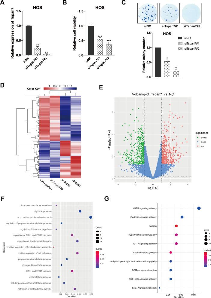 https://cdn.ncbi.nlm.nih.gov/pmc/blobs/8d3c/9074275/de967614cf59/12935_2022_2591_Fig2_HTML.jpg