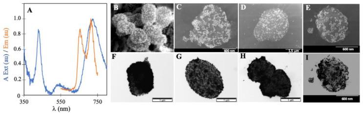 https://cdn.ncbi.nlm.nih.gov/pmc/blobs/8d3d/8912806/18503262f41f/nanomaterials-12-00872-g002.jpg