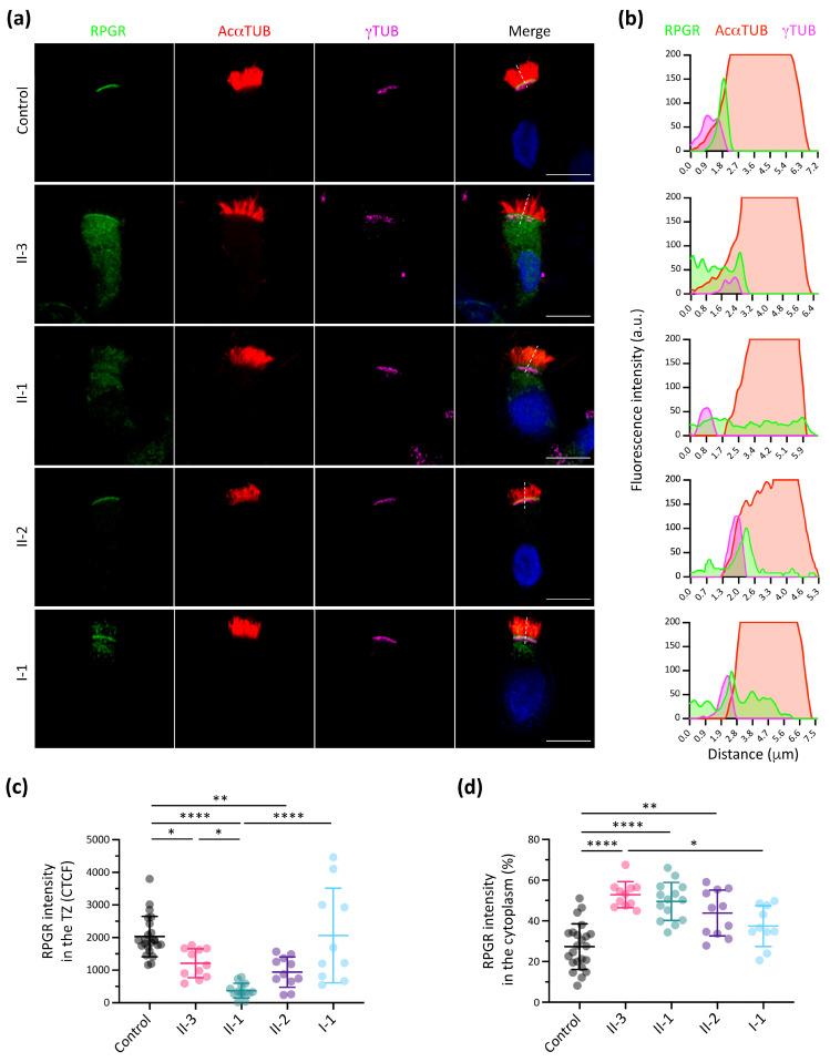 https://cdn.ncbi.nlm.nih.gov/pmc/blobs/8d3e/10968961/49479455eeca/cells-13-00524-g004.jpg