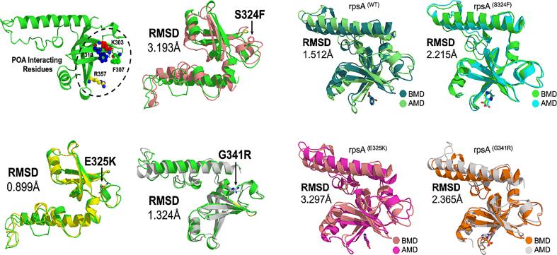 https://cdn.ncbi.nlm.nih.gov/pmc/blobs/8d40/6205349/77be9d5d5a42/gr1.jpg