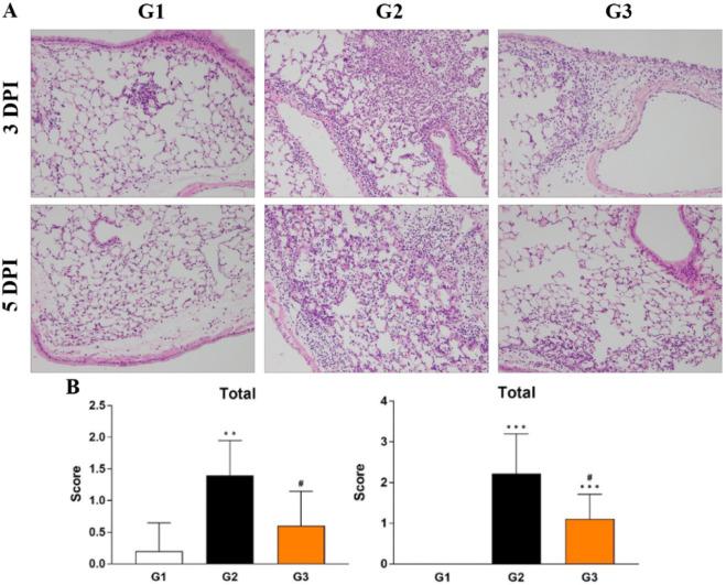 https://cdn.ncbi.nlm.nih.gov/pmc/blobs/8d40/9829060/95fc2c5a848e/gr4_lrg.jpg