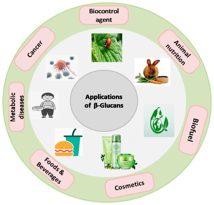 https://cdn.ncbi.nlm.nih.gov/pmc/blobs/8d45/10975496/d0e22ca2f3aa/nutrients-16-00900-g006.jpg
