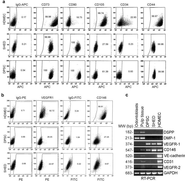 https://cdn.ncbi.nlm.nih.gov/pmc/blobs/8d45/8225874/c5ed714066d2/41419_2021_3925_Fig1_HTML.jpg