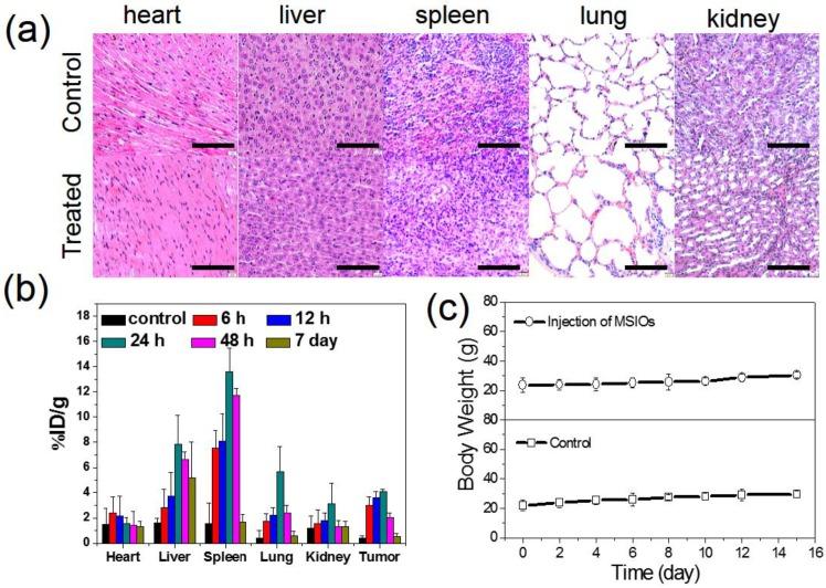 https://cdn.ncbi.nlm.nih.gov/pmc/blobs/8d47/4493532/895fc9863c10/thnov05p0931g007.jpg