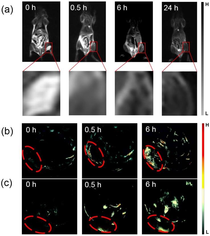 https://cdn.ncbi.nlm.nih.gov/pmc/blobs/8d47/4493532/8d60a4044b95/thnov05p0931g009.jpg