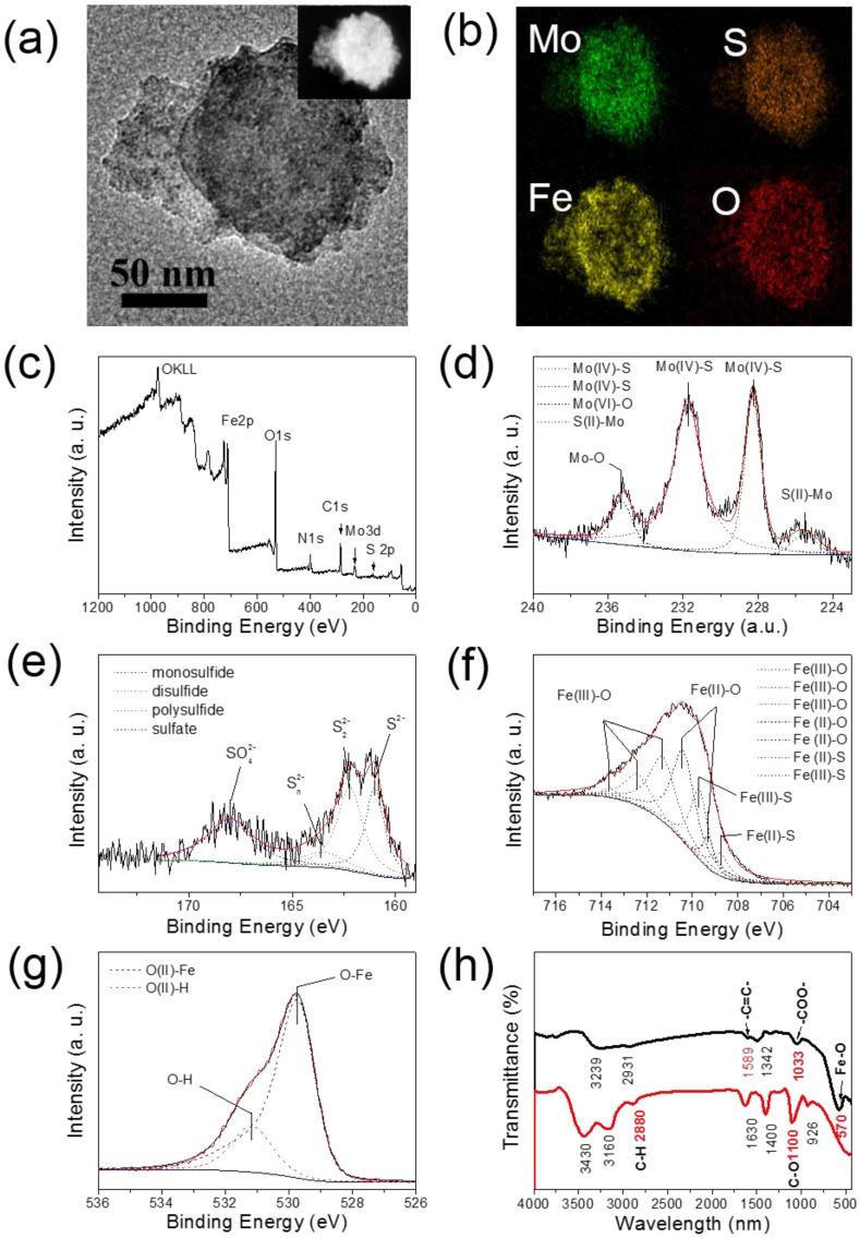 https://cdn.ncbi.nlm.nih.gov/pmc/blobs/8d47/4493532/ae8a37ba9e9e/thnov05p0931g003.jpg