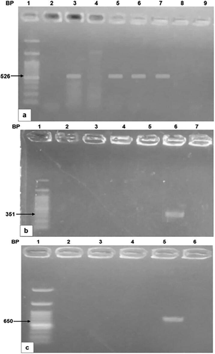 https://cdn.ncbi.nlm.nih.gov/pmc/blobs/8d48/8071969/3d1b1f240fcd/gr1.jpg
