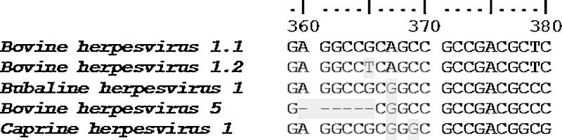https://cdn.ncbi.nlm.nih.gov/pmc/blobs/8d4a/4487326/00cf3a0281ae/gr1.jpg