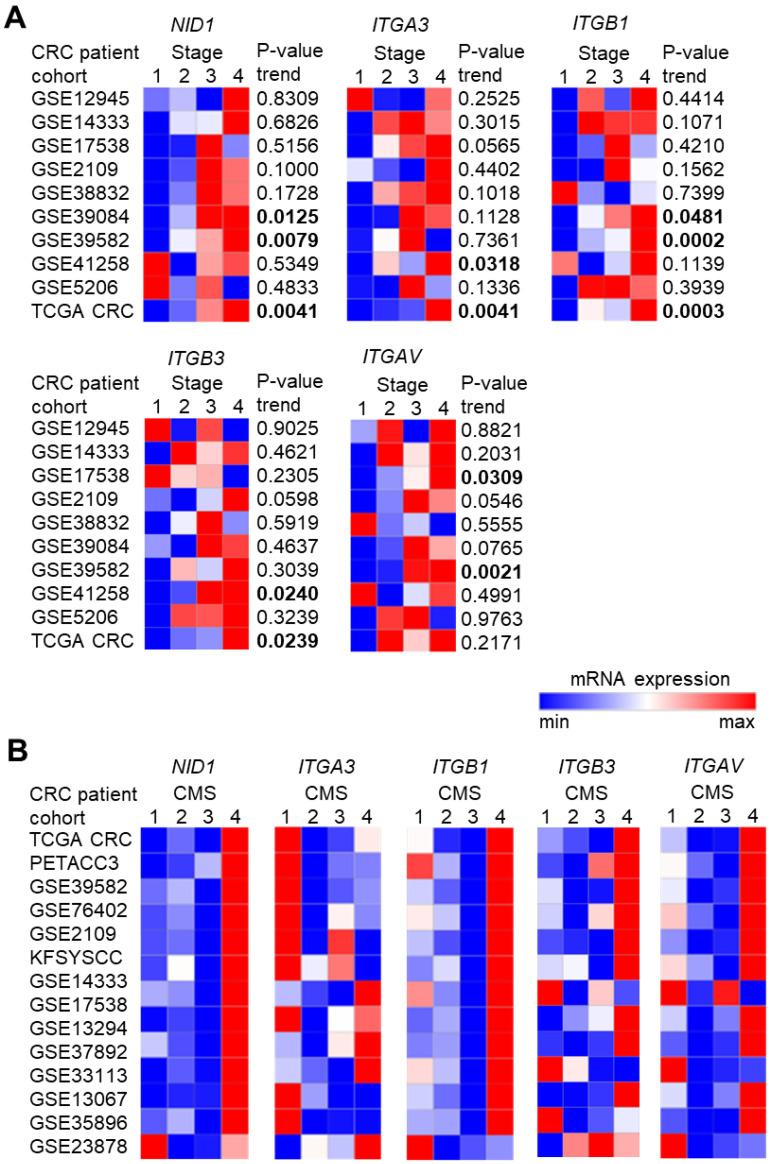 https://cdn.ncbi.nlm.nih.gov/pmc/blobs/8d4b/10670298/153c84a388a1/cancers-15-05316-g002.jpg