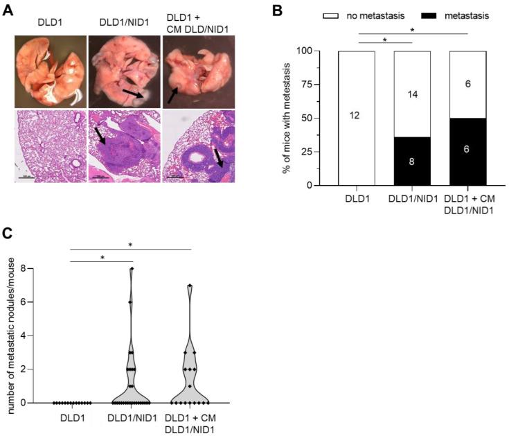 https://cdn.ncbi.nlm.nih.gov/pmc/blobs/8d4b/10670298/2a4eb2168fd7/cancers-15-05316-g005.jpg