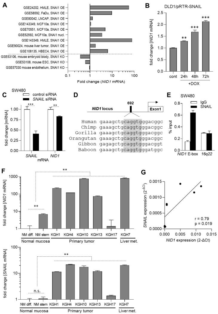 https://cdn.ncbi.nlm.nih.gov/pmc/blobs/8d4b/10670298/4ef983dc779f/cancers-15-05316-g004.jpg