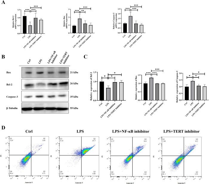 https://cdn.ncbi.nlm.nih.gov/pmc/blobs/8d4b/11508119/497458ce62ad/pone.0312115.g006.jpg