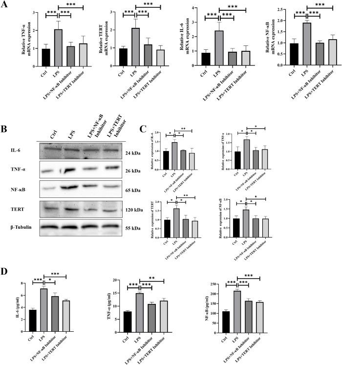 https://cdn.ncbi.nlm.nih.gov/pmc/blobs/8d4b/11508119/bb3f80481bfd/pone.0312115.g005.jpg