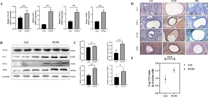 https://cdn.ncbi.nlm.nih.gov/pmc/blobs/8d4b/11508119/f27026f33e2a/pone.0312115.g002.jpg