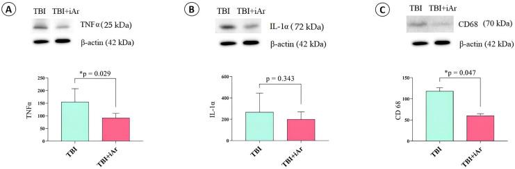 https://cdn.ncbi.nlm.nih.gov/pmc/blobs/8d4b/11640893/8846d5ffca79/ijms-25-12673-g004.jpg