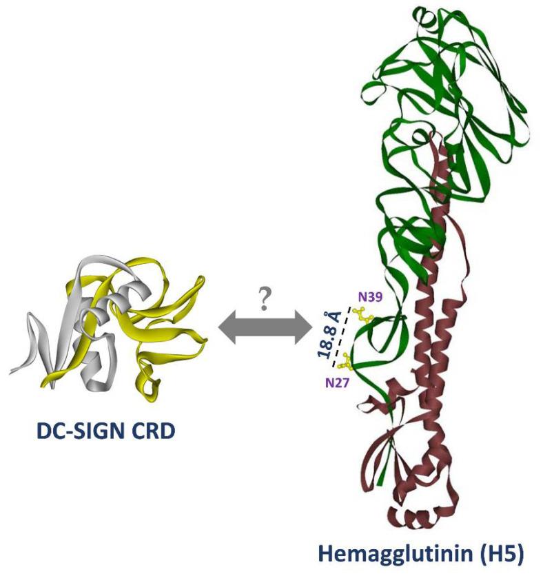 https://cdn.ncbi.nlm.nih.gov/pmc/blobs/8d4c/7828482/49ec6151551a/ijms-22-00743-g008.jpg