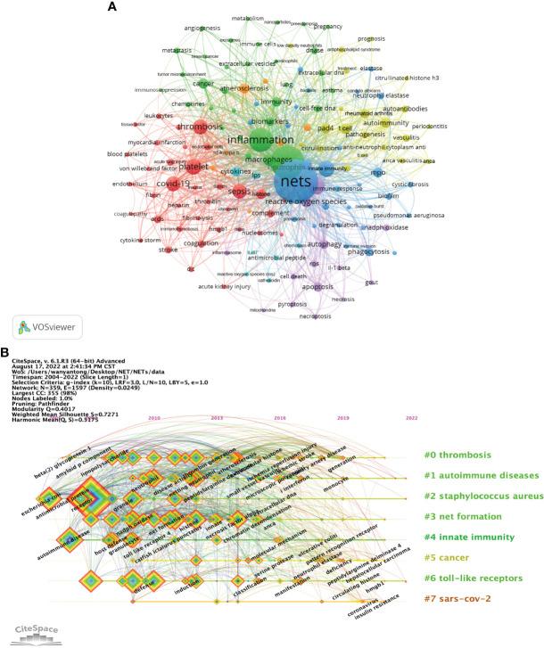 https://cdn.ncbi.nlm.nih.gov/pmc/blobs/8d4f/9634160/5d8cd65c3a19/fimmu-13-1025861-g006.jpg