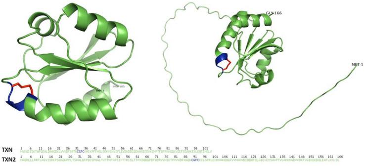 https://cdn.ncbi.nlm.nih.gov/pmc/blobs/8d51/10135697/73d834a7dbbd/antioxidants-12-00944-g002.jpg