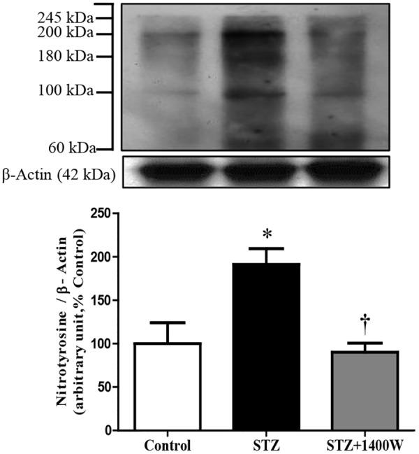 https://cdn.ncbi.nlm.nih.gov/pmc/blobs/8d51/6449803/6186ef5bbe9d/fphar-10-00300-g003.jpg