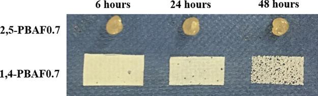 https://cdn.ncbi.nlm.nih.gov/pmc/blobs/8d51/7525809/bdb617d267a1/sc0c04513_0010.jpg