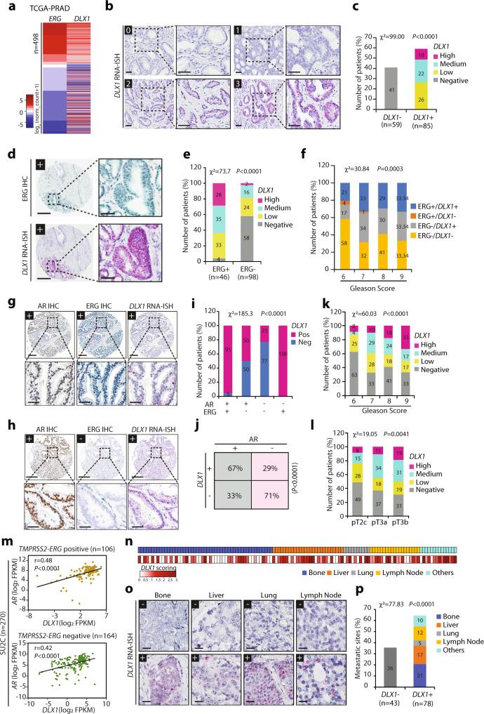https://cdn.ncbi.nlm.nih.gov/pmc/blobs/8d51/8423767/01a901defec7/41467_2021_25623_Fig4_HTML.jpg