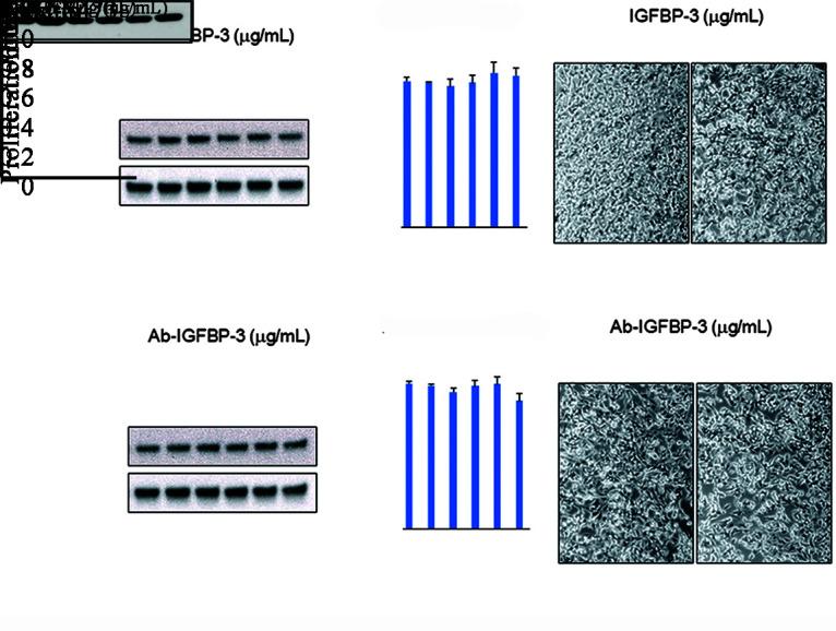 https://cdn.ncbi.nlm.nih.gov/pmc/blobs/8d53/10278738/31d697eb5d45/cm9-136-0974-g005.jpg