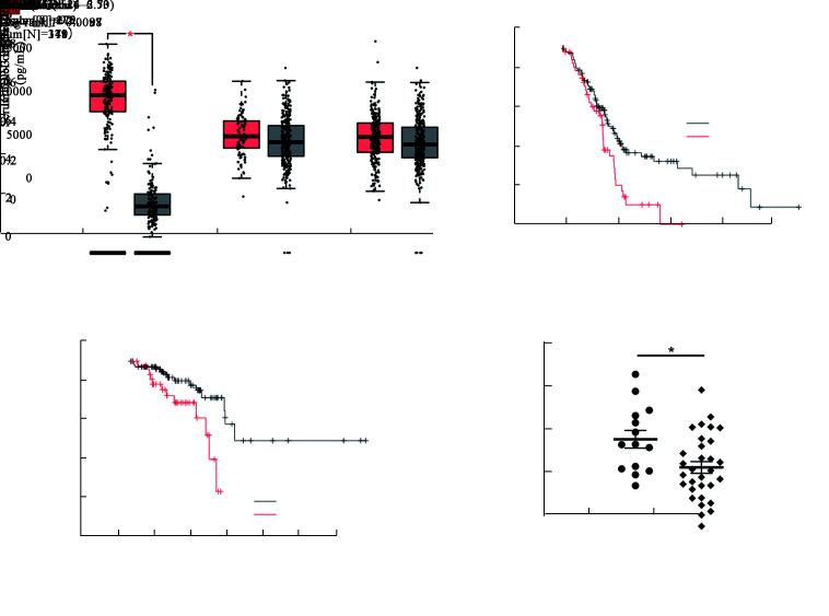 https://cdn.ncbi.nlm.nih.gov/pmc/blobs/8d53/10278738/add4b1bea030/cm9-136-0974-g007.jpg