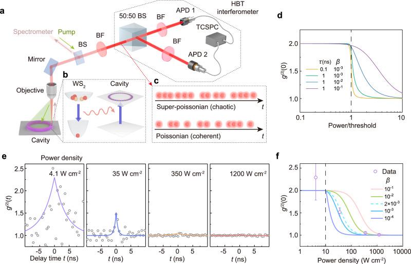 https://cdn.ncbi.nlm.nih.gov/pmc/blobs/8d53/12218280/7e91dcf83291/41467_2025_60778_Fig3_HTML.jpg