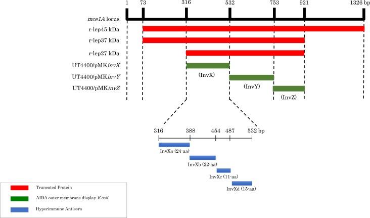 https://cdn.ncbi.nlm.nih.gov/pmc/blobs/8d53/6420055/374f75a0554e/pntd.0006704.g001.jpg