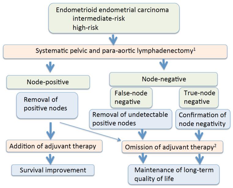 https://cdn.ncbi.nlm.nih.gov/pmc/blobs/8d53/9497184/17a5706013f8/cancers-14-04516-g001.jpg