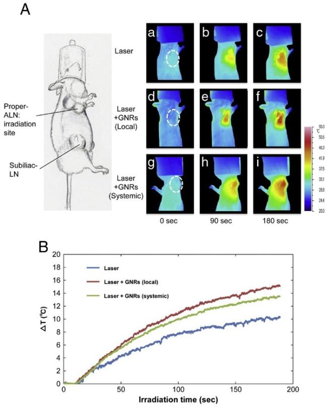 https://cdn.ncbi.nlm.nih.gov/pmc/blobs/8d54/10669140/855d027e267b/biosensors-13-00977-g014.jpg